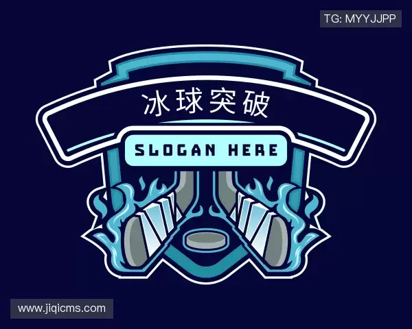 介绍冰球突破最新地址